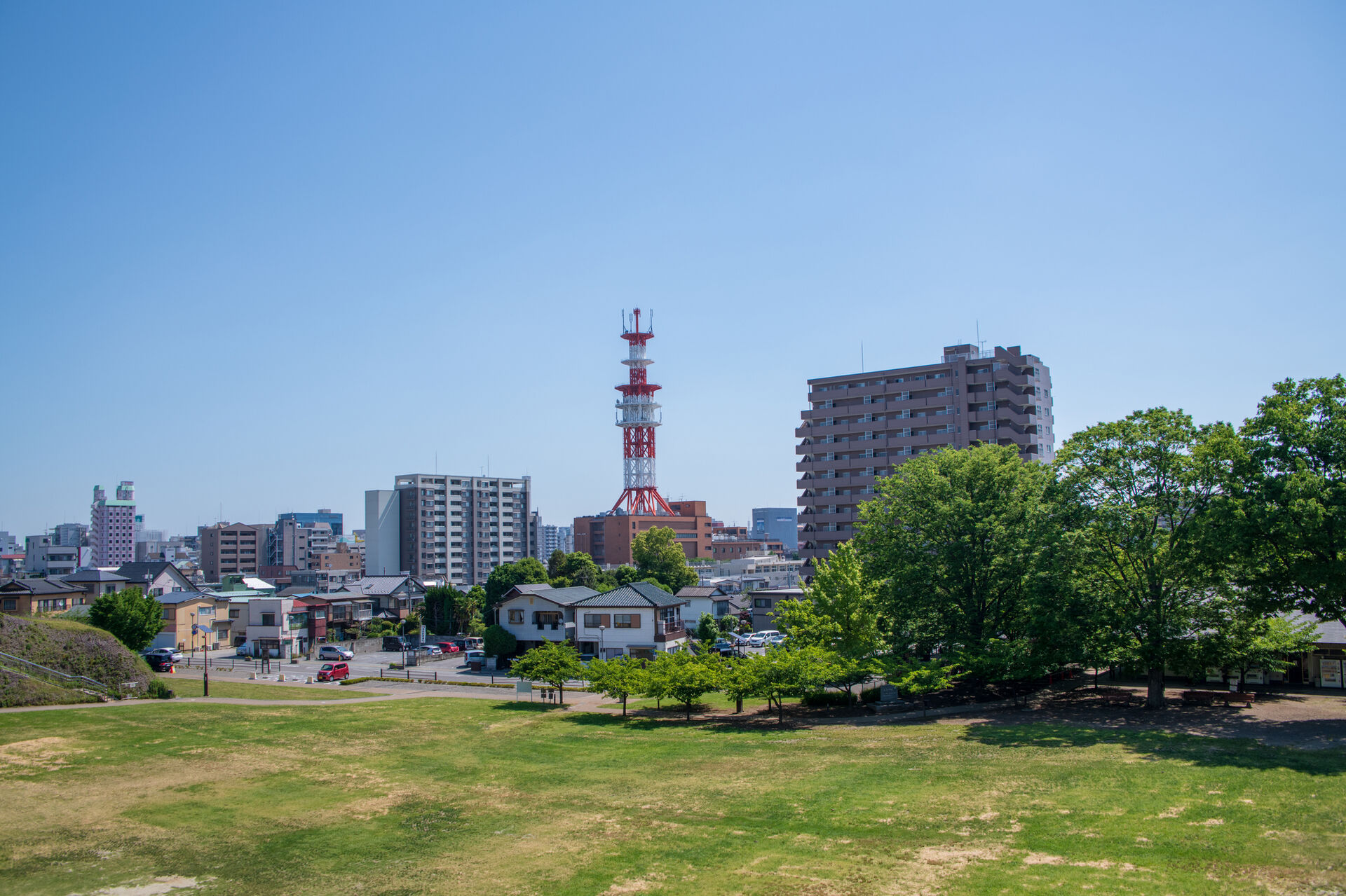 pixta_54469096_M